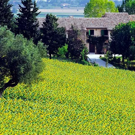 Tatil Evi Holiday In Jesi/marken 22767