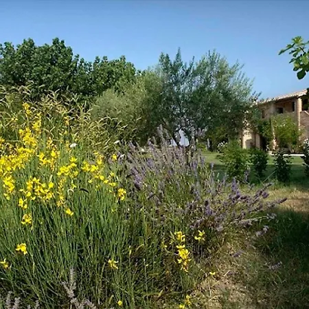 Holiday In Jesi/marken 22767